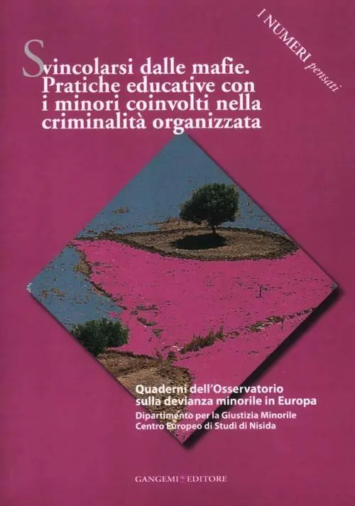 Svincolarsi dalle mafie. Pratiche educative con i minori coinvolti nella criminalità organizzata Bestseller