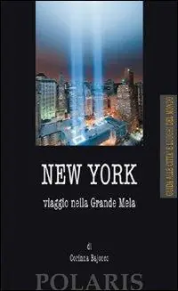 New York. Viaggio nella Grande Mela Economico