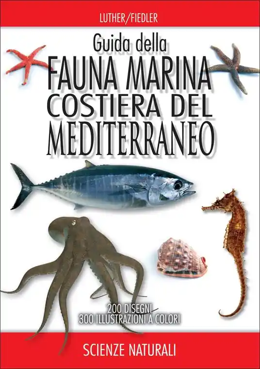 Non Perdere Guida della fauna marina costiera del Mediterraneo