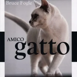 Amico gatto. Tutto ciò che il proprietario di un gatto deve sapere Must-Have
