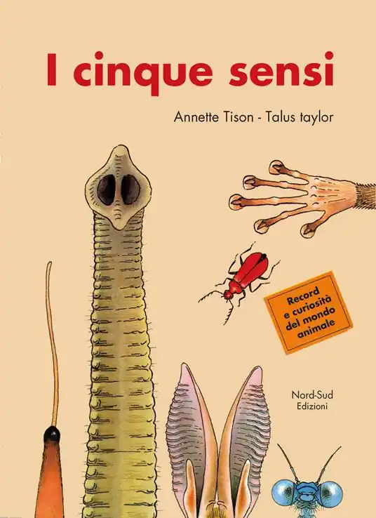 I cinque sensi. Ediz. illustrata Quantità Limitata