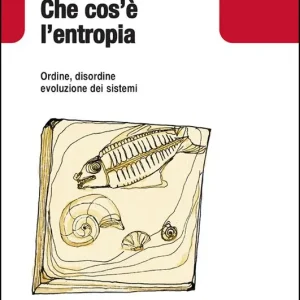 Che cos‘è l‘entropia. Ordine, disordine, evoluzione dei sistemi Nuovo Arrivo