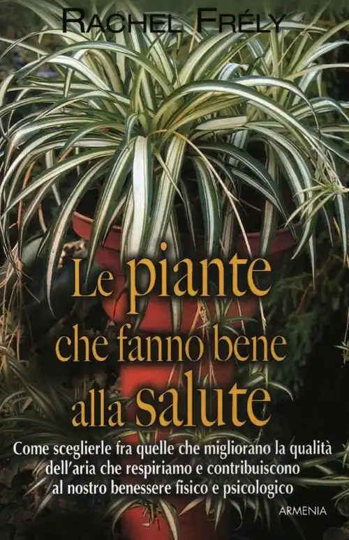 Le piante che fanno bene alla salute Solo Oggi