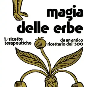 Pagamento Sicuro Magia delle erbe. Vol. 1 Ricette terapeutiche