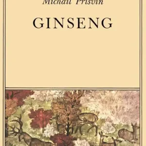 Ginseng Occasione