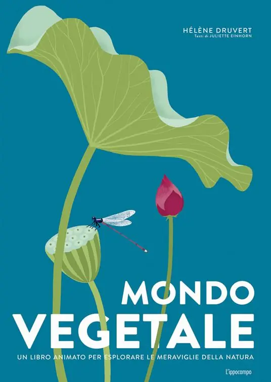 Mondo vegetale. Un libro animato per esplorare le meraviglie della natura. Ediz. a colori Vendita Finale