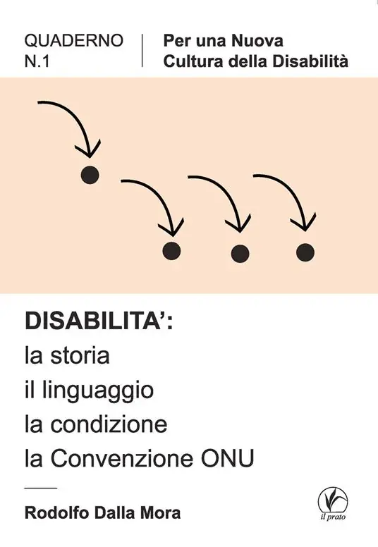 Disabilità la storia, il linguaggio, la condizione, la convenzione ONU Prezzo Basso