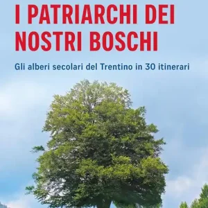 I patriarchi dei nostri boschi. Gli alberi secolari del Trentino in 30 itinerari Esclusivo