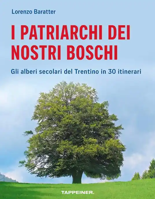 I patriarchi dei nostri boschi. Gli alberi secolari del Trentino in 30 itinerari Esclusivo