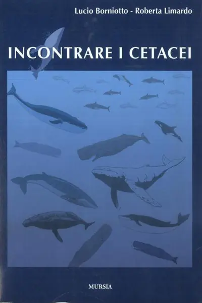 Di Tendenza Incontrare i cetacei