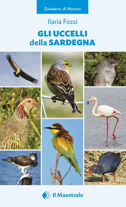 Spedito Oggi Gli uccelli della Sardegna