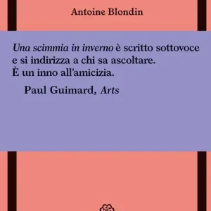 Una scimmia in inverno Direttamente Dal Produttore
