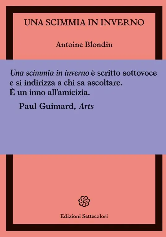 Una scimmia in inverno Direttamente Dal Produttore