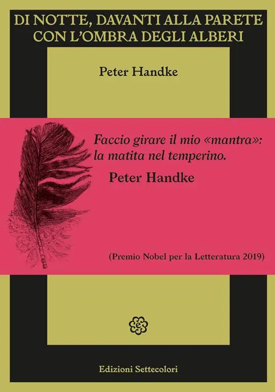 Professionale Di notte, davanti alla parete con l‘ombra degli alberi. Ediz. illustrata