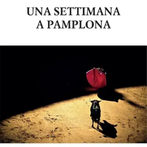 Una settimana a Pamplona Offerta