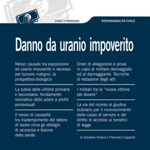 Danno da uranio impoverito Direttamente Dal Produttore