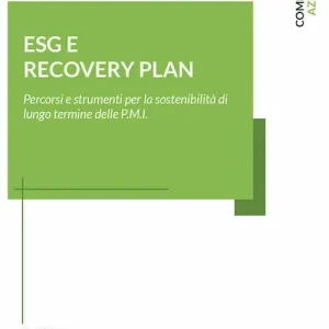 Super Prezzo ESG e recovery plan. Percorsi e strumenti per la sostenibilità di lungo termine delle P.M.I.