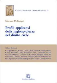 Profili applicativi della ragionevolezza nel diritto civile A Buon Prezzo