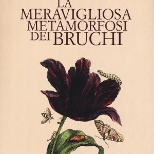 Compra Adesso La meravigliosa metamorfosi dei bruchi