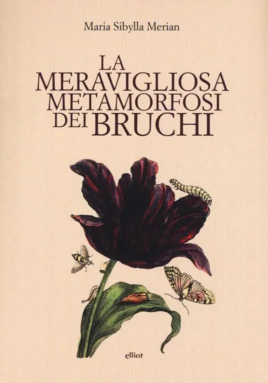 Compra Adesso La meravigliosa metamorfosi dei bruchi