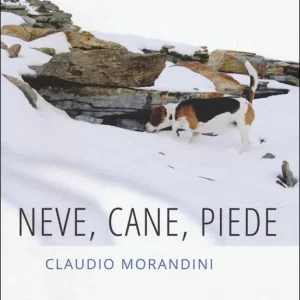 Neve, cane, piede Ordina Subito