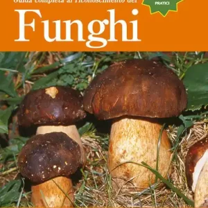 Offerta Speciale Guida completa al riconoscimento dei funghi. Con DVD