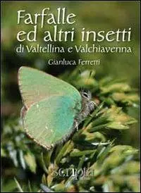 Farfalle e altri insetti di Valtellina e Valchiavenna Economico