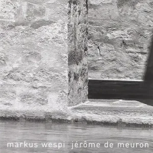 Di Tendenza Markus Wespi-Jérôme De Meuron. Ediz. italiana e inglese