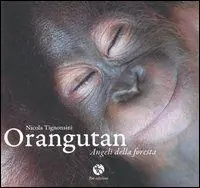 Orangutan. Angeli della foresta. Ediz. illustrata Prezzo Basso
