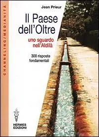 Il paese dell‘oltre. Uno sguardo nell‘Aldilà. 300 risposte fondamentali Miglior Prezzo