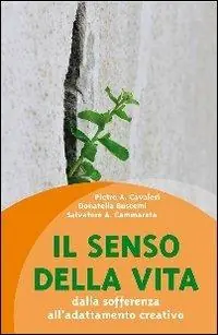 Il senso della vita. Dalla sofferenza all‘adattamento creativo Miglior Prezzo