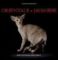 Nuovo Arrivo Orientale e javanese