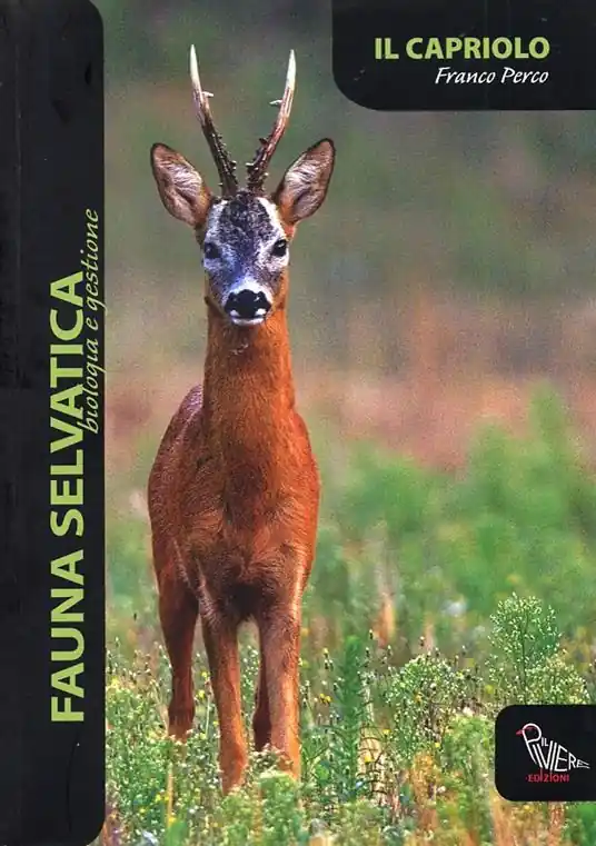 Il capriolo Prezzo Basso