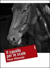 Professionale Il cavallo per le scale