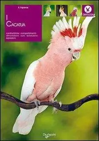 I cacatua Di Tendenza