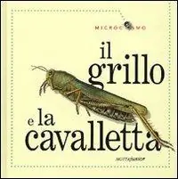 Il grillo e la cavalletta. Ediz. illustrata Saldi
