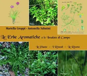 Le erbe aromatiche e le insalate di campo Offerta Del Giorno