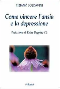 Spedito Oggi Come vincere l‘ansia e la depressione