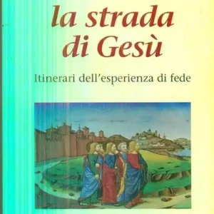 La strada di Gesù. Itinerari dell‘esperienza di fede Non Perdere