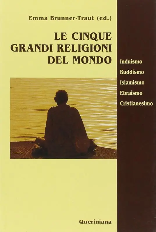 Le cinque grandi religioni del mondo. Induismo, buddismo, islamismo, ebraismo, cristianesimo Ordina Subito
