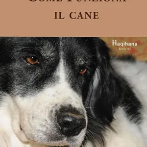 Novità Come funziona il cane