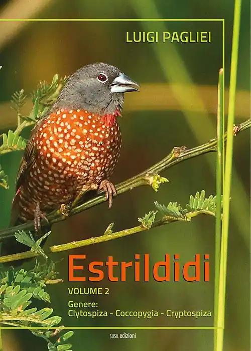 Novità Estrildidi. Vol. 2 Genere Clytospiza-Coccopygia-Cryptospiza