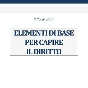 Occasione Elementi di base per capire il diritto
