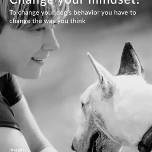 Change your mindset! To change your dog‘s behavior you have to change the way you think Promo Stagionale