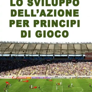 Saldi Lo sviluppo dell‘azione per principi di gioco. Con DVD video