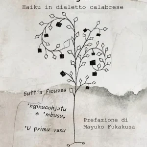 Spedizione Espresso Passijati. Haiku in dialetto calabrese
