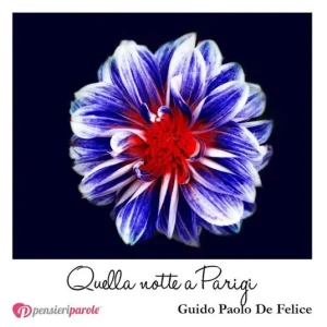Ordina Subito Quella notte a Parigi. Frammenti da un amore che non ce l‘ha fatta