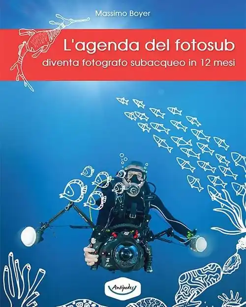 L‘ agenda del fotosub. Diventa fotografo subacqueo in 12 mesi Affare