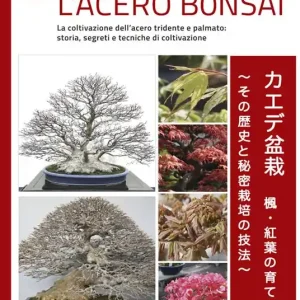 Offerta Limitata L‘ acero bonsai. La coltivazione dell‘acero tridente e palmato storia, segreti e tecniche di coltivazione