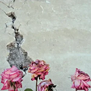 Disastri naturali una comunicazione responsabile? L‘Aquila, l‘Emilia-Romagna e il centro Italia. Verso un modello strutturato di ascolto e resilienza attiva Esclusivo